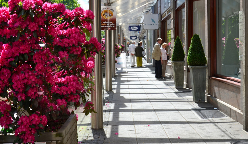 © CityInitiative Bremen Werbung e.V. | Rhododendren am Wall  | 